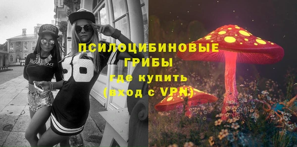 гашиш Новодвинск