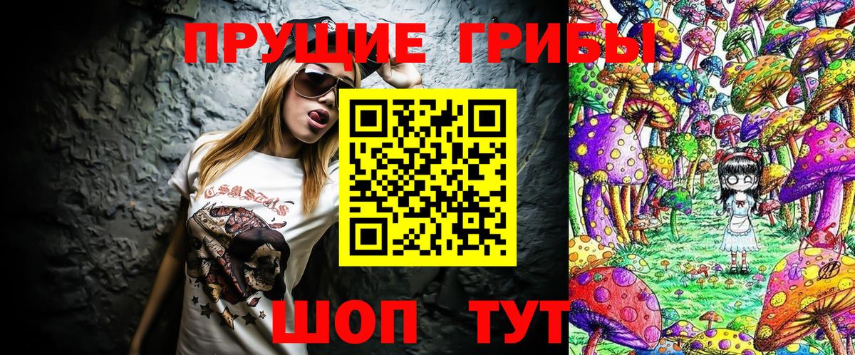 Псилоцибиновые грибы Cubensis Калуга